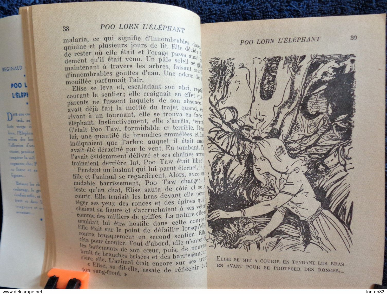 Reginald Campbell - POO LORN l' Éléphant - Hachette - Bibliothèque de la Jeunesse - ( 1951 ) - TBE .