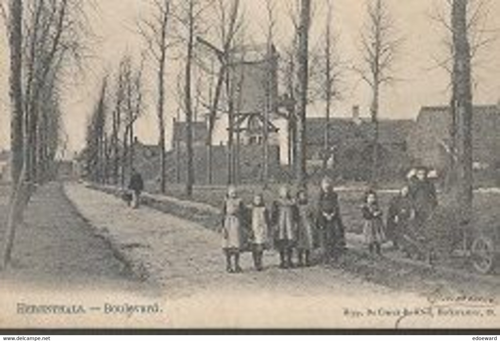 20 10/ M//   HERENTHALS  1906   BOULEVARD  + MOLEN + KRUIWAGEN EN VEEL VOLK     !!!!!!!!!!!! - Other & Unclassified