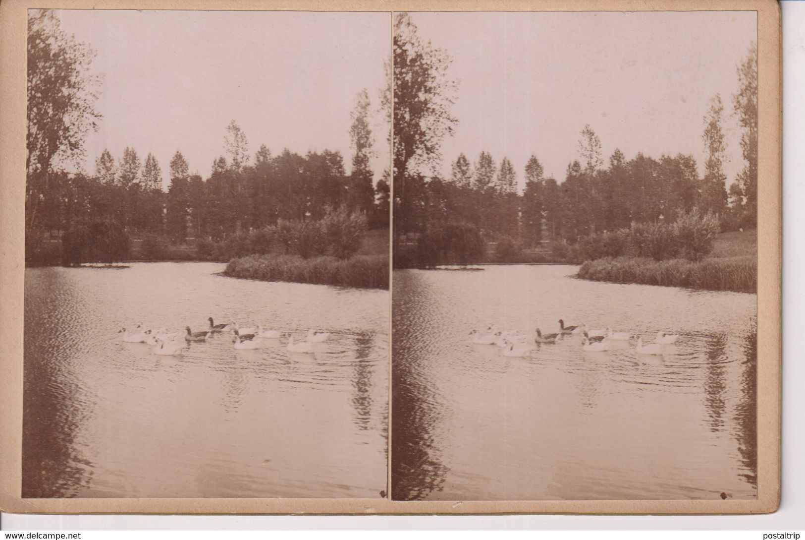 ST JOB SOUS UCCLE UKKEL  BRUSSEL BRUXELLES    16*11CM Collectionbel  STÉRÉOSCOPIQUE STEREOSCOPIC - Orte