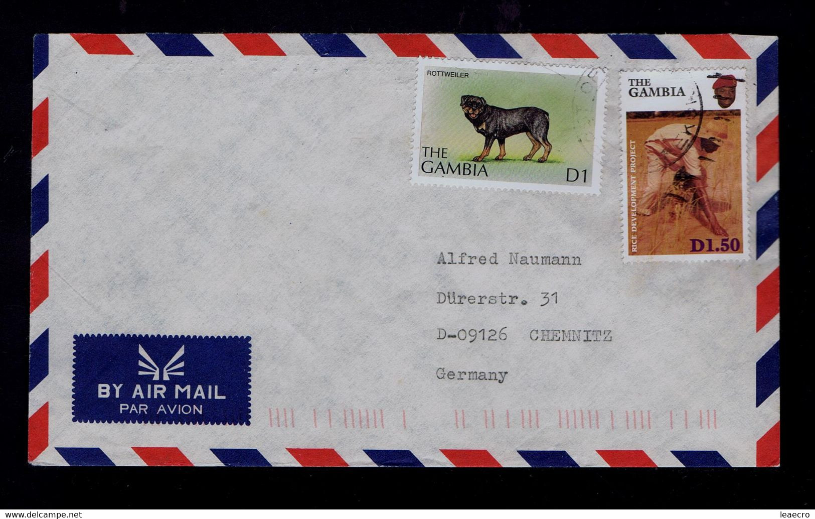 GAMBIA Rottweiler Dogs Chiens Animals Faune Rice Development Project Agriculture Food Alimentation Gc5203 - Agriculture