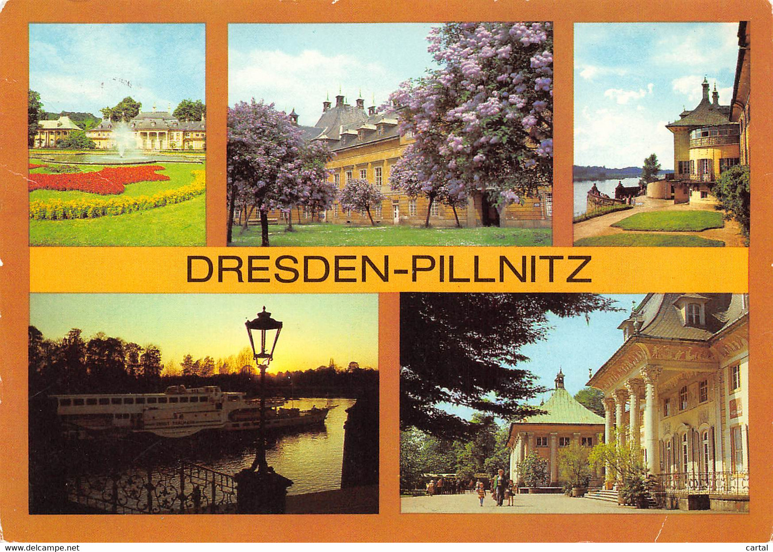 CPM - DRESDEN-PILLNITZ - Pillnitz
