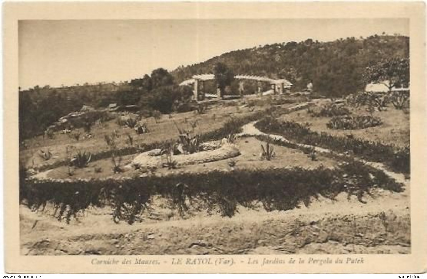 D 83. LE RAYOL CANADEL.  LES JARDINS DE LA PERGOLA DU PATEK - Rayol-Canadel-sur-Mer