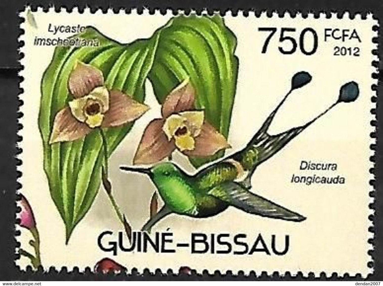 Guinea Bissau - MNH ** 2012 : Hummingbirds And Orchids :   Racket-tailed Coquette  - Discosura Longicaudus - Hummingbirds
