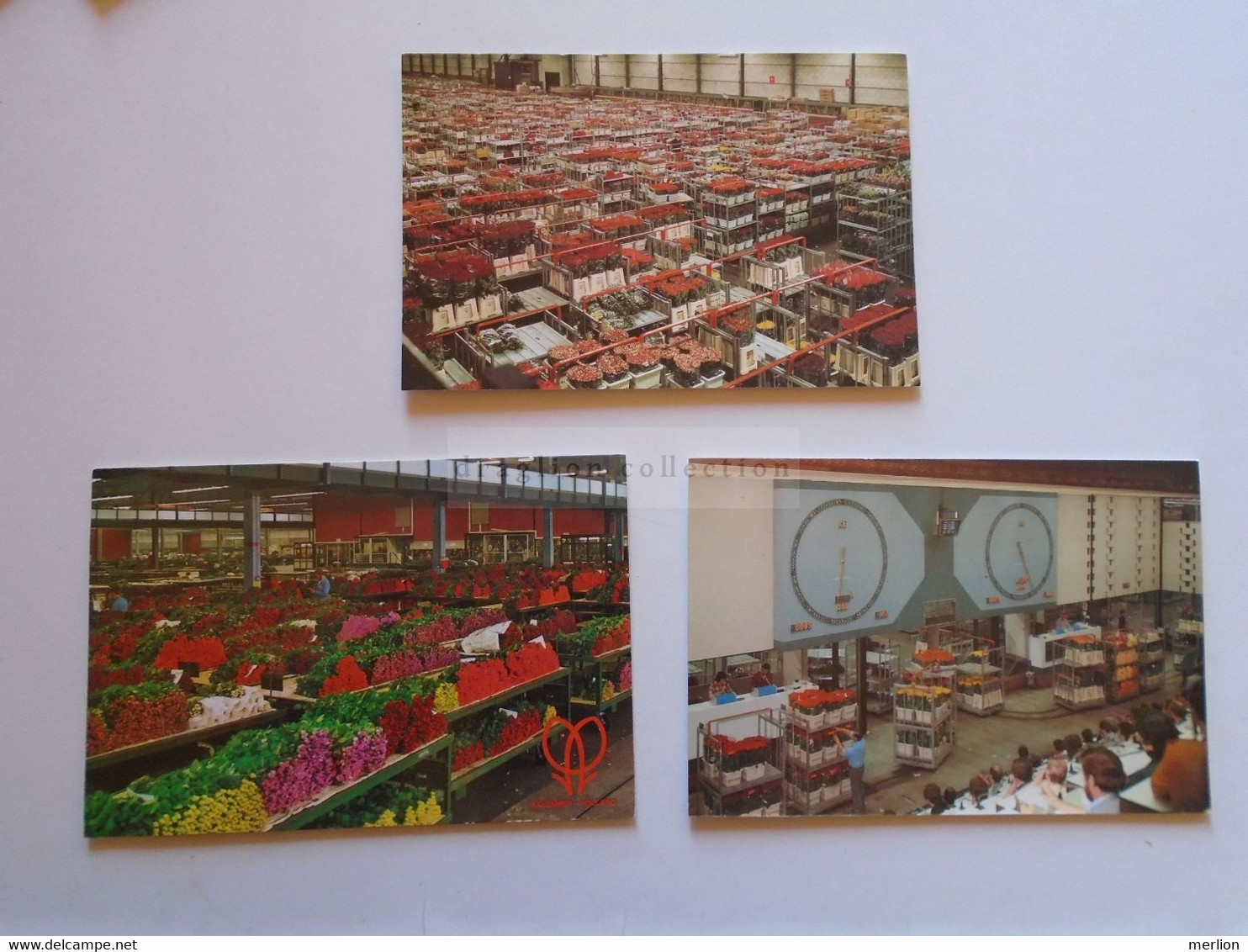 D174979    Nord Holland  -AALSMEER  World Flower Centre  Lot Of 3 Postcards - Aalsmeer