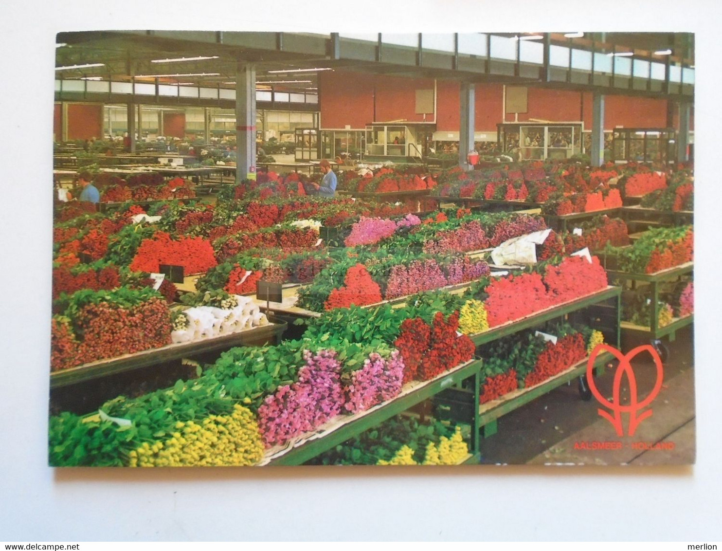 D174979    Nord Holland  -AALSMEER  World Flower Centre  Lot Of 3 Postcards - Aalsmeer