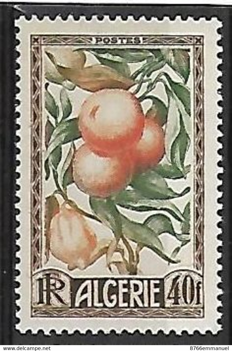 ALGERIE N°281 N* - Unused Stamps