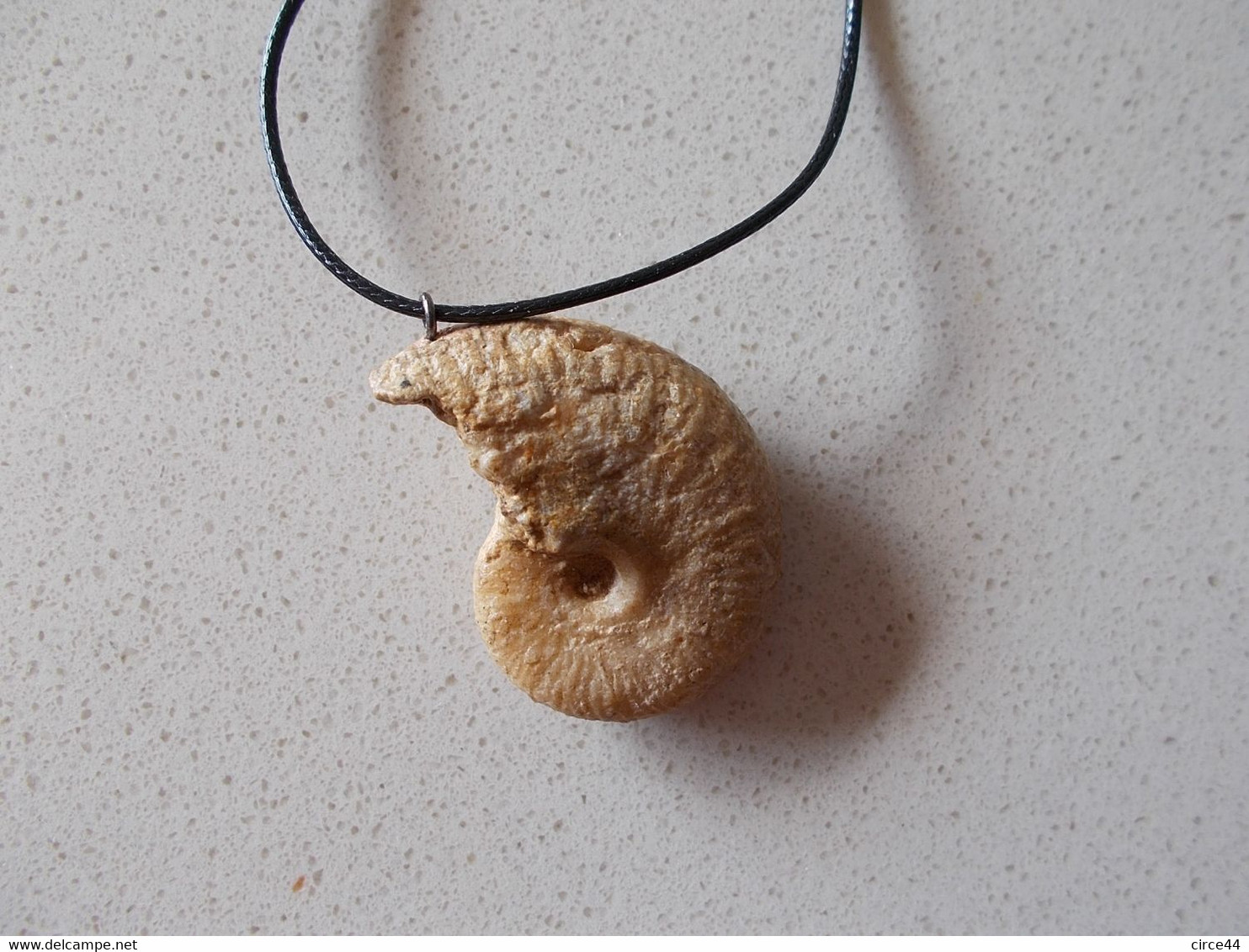 NOEL.CADEAU  ORIGINAL.AMMONITE  FOSSILE MONTEE EN PENDENTIF.LONGUEUR DU CORDON REGLABLE.ORIGINE MAINE ET LOIRE. - Fossilien