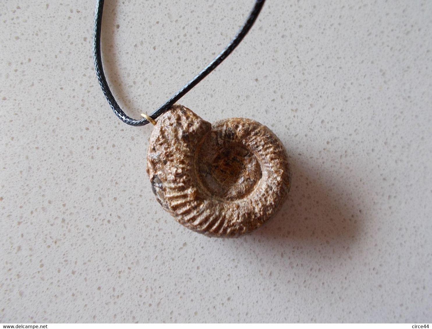 NOEL.CADEAU  ORIGINAL.AMMONITE  FOSSILE MONTEE EN PENDENTIF.LONGUEUR DU CORDON REGLABLE.ORIGINE MAINE ET LOIRE. - Fossilien