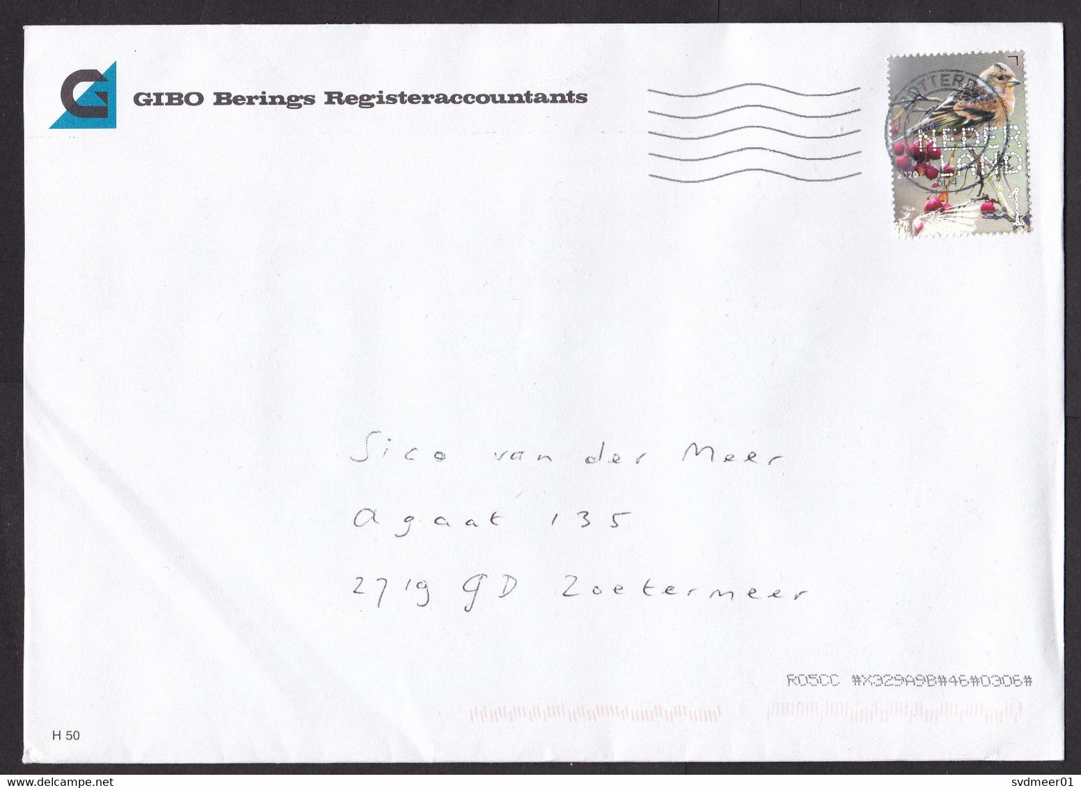 Netherlands: Cover, 2020, 1 Stamp, Bird, Berry, Berries (minor Crease) - Lettres & Documents