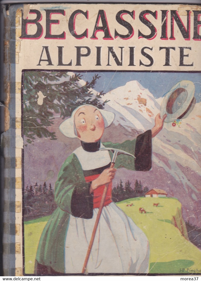 Bécassine Alpiniste  EO - Bécassine