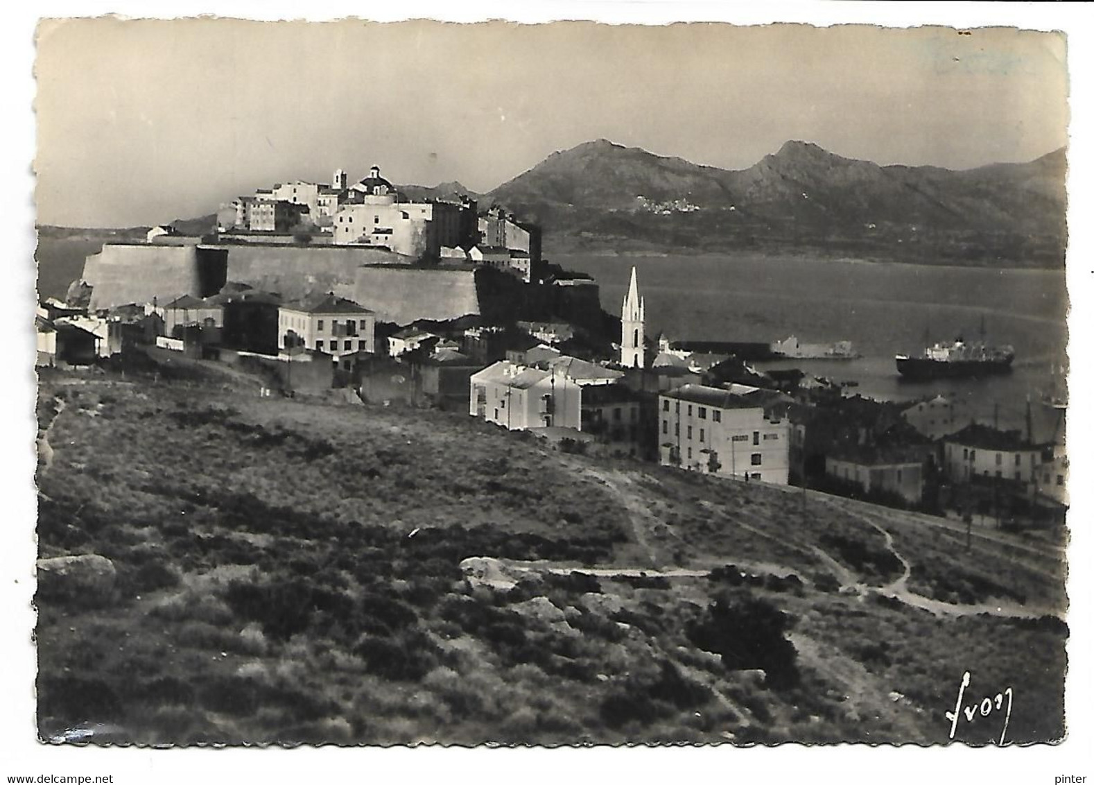 CALVI - La Citadelle Et Le Golfe - Calvi