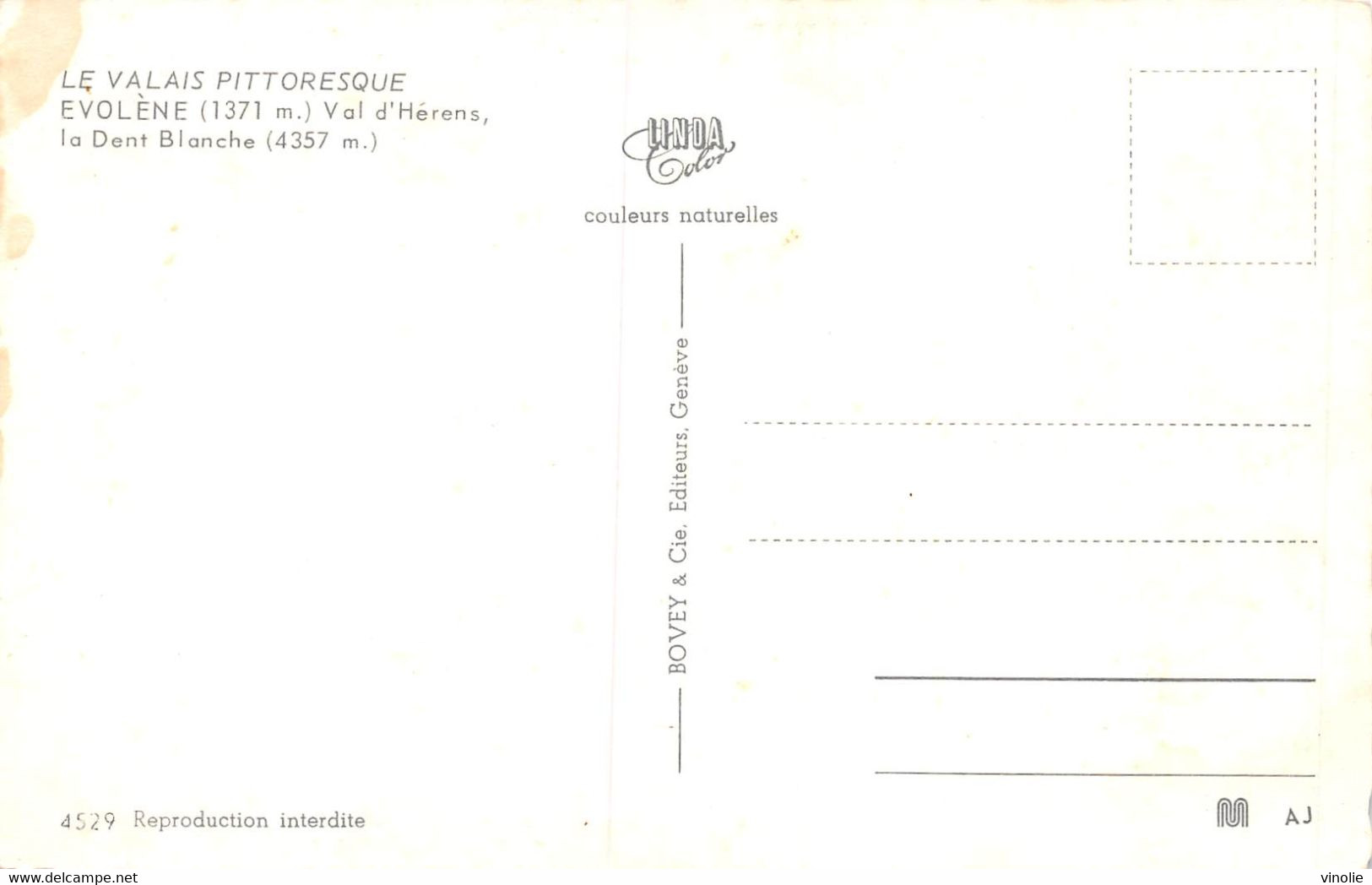 A-20-5429 : EVOLENE - Evolène