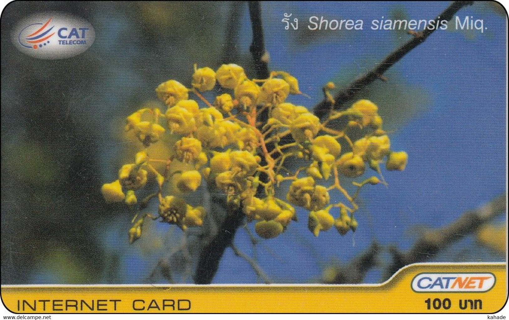 Thailand Phonecard Internet Catnet Shorea Flower 5002 - Tailandia