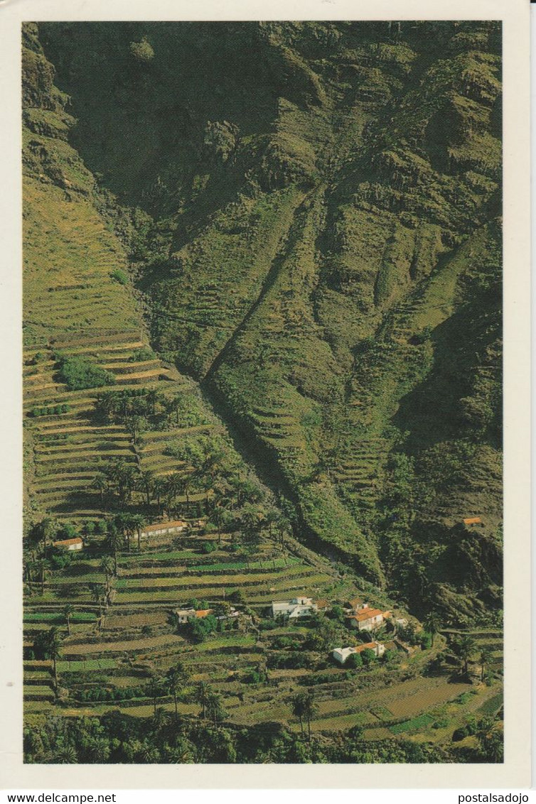 (CANA1781)  GOMERA ISLAND . VALLE GRAN REY - Gomera