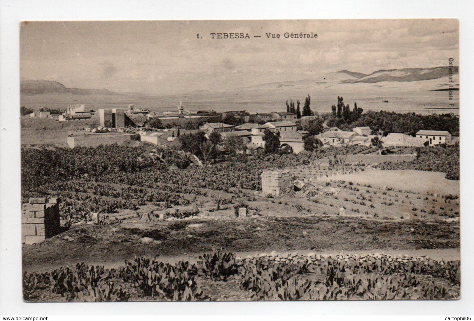 - CPA TEBESSA (Algérie) - Vue Générale - Collection P. S. N° 1 - - Tébessa