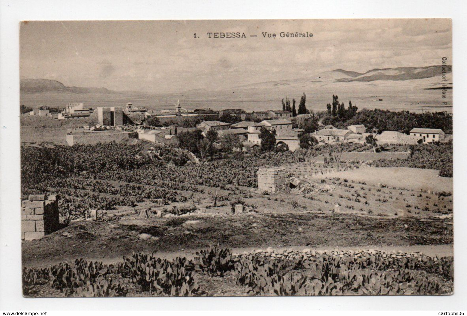 - CPA TEBESSA (Algérie) - Vue Générale - Collection P. S. N° 1 - - Tebessa