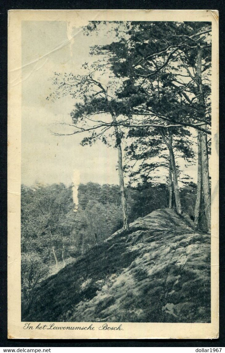 Ermelo Beek In Het Leuvenumsche Bosch. + Ca 1930 -   Used ,2 Scans For Condition. (Originalscan !! ) - Ermelo