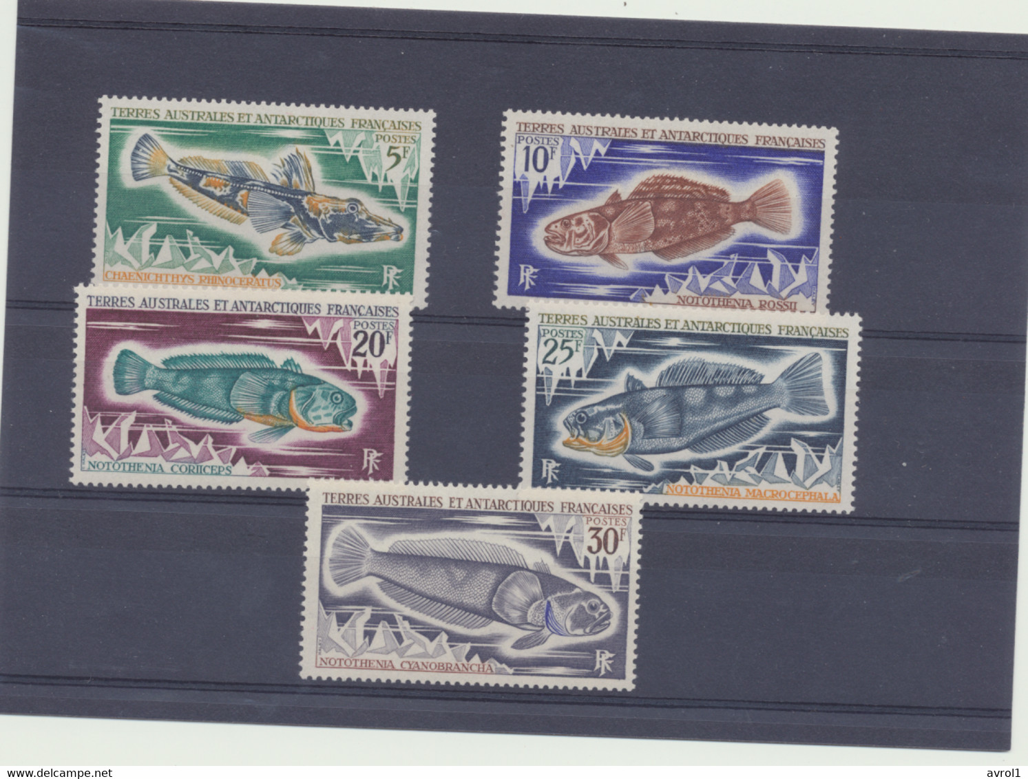 N° 34 A 38  NEUFXX     1 ER CHOIX   5 VALEURS - Unused Stamps