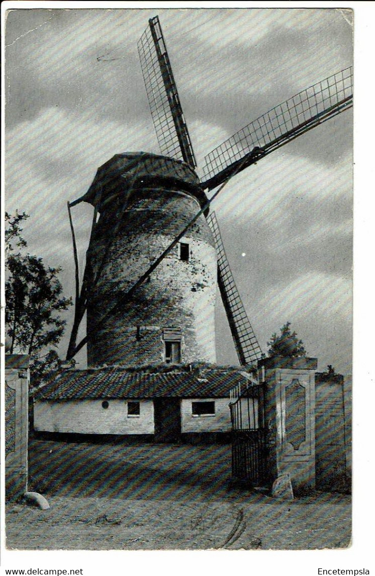 CPM-carte Postale Pays Bas-Gronsveld Molen 1959 VM23152br - Eijsden