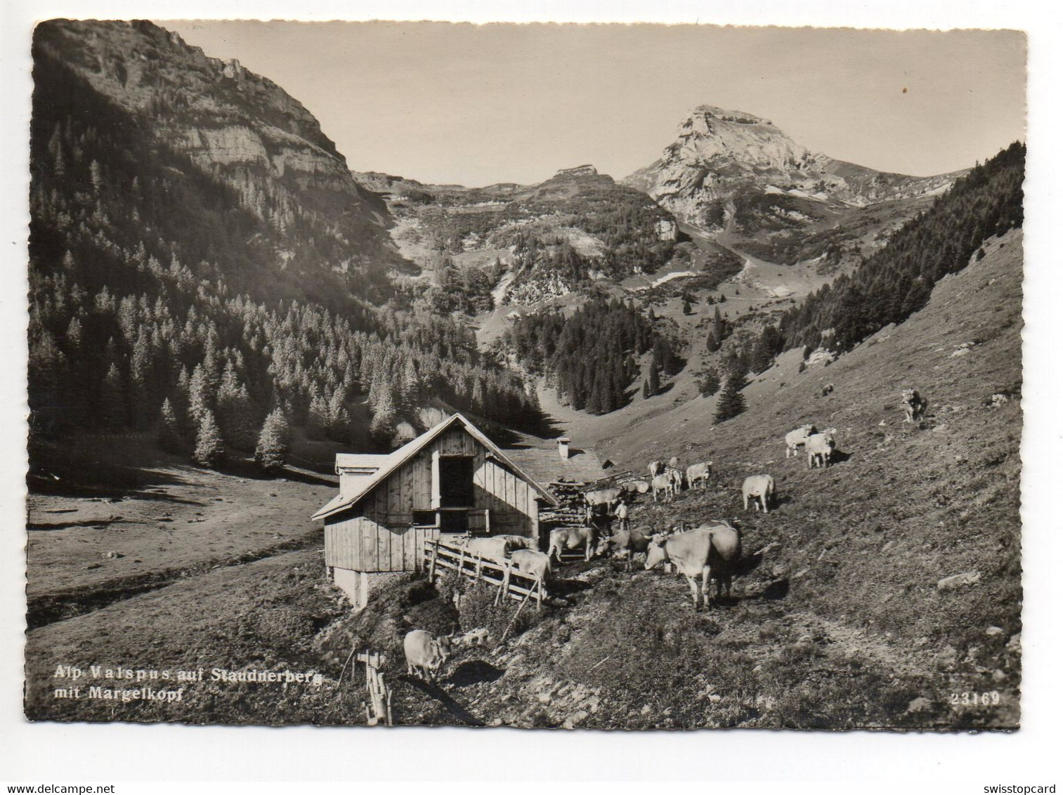 BUCHS GRABS Alp Valspus Auf Staudnerberg Bauer Mit Kühen Stempel Gasthaus Alvier - Grabs