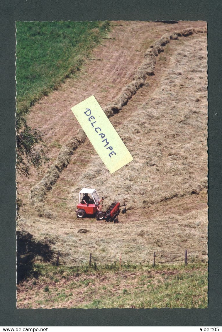 Kalchstätten ( Bern  Suisse )  Andaineuse à Chaines - Tracteurs