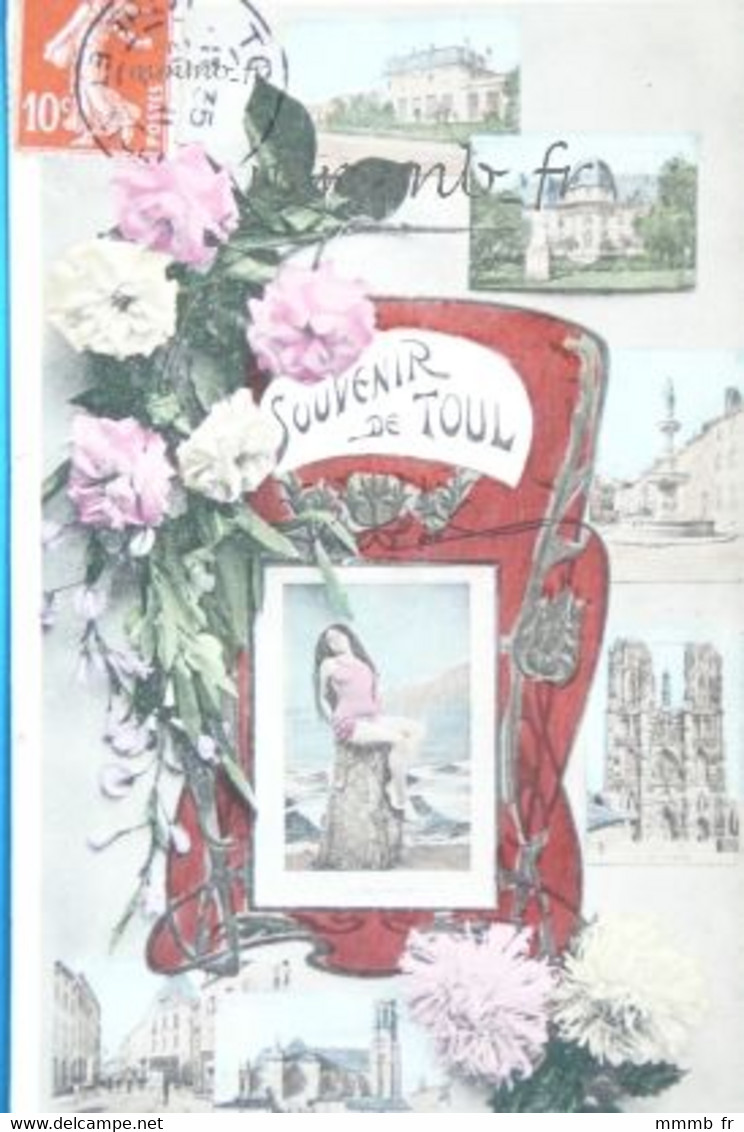 273-4 TOUL 54 CARTE SOUVENIR MULTIVUE - Toul