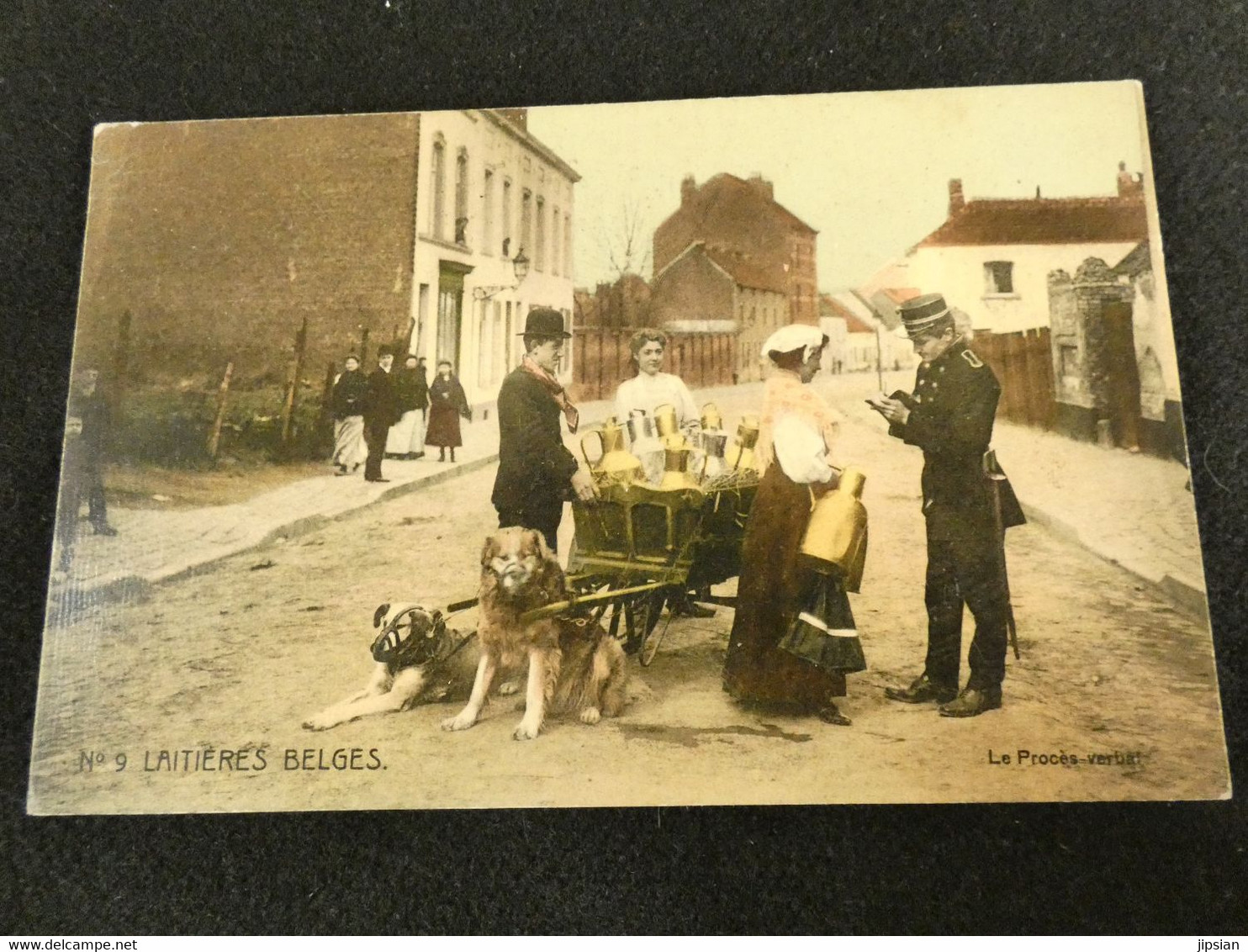 collection lot de 24 cpa Charrette ou voiture à chien laitière belge flamande -- chiens  LIL7