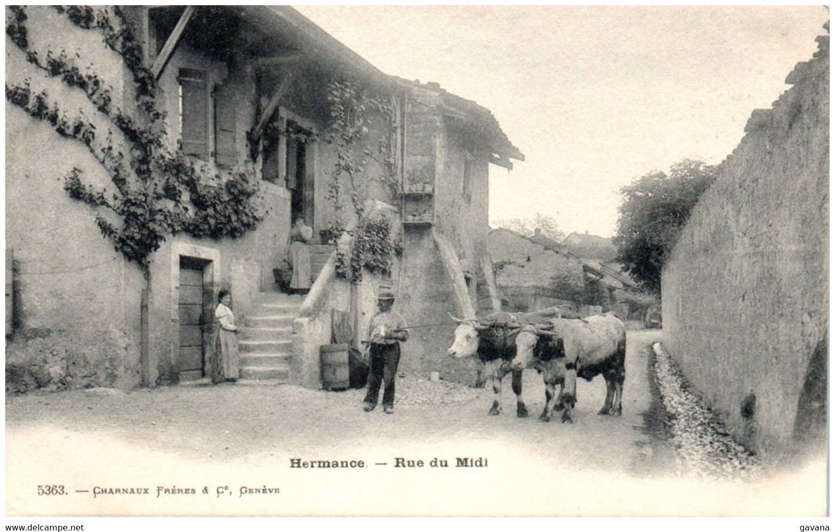 GE HERMANCE - Rue Du Midi - Hermance