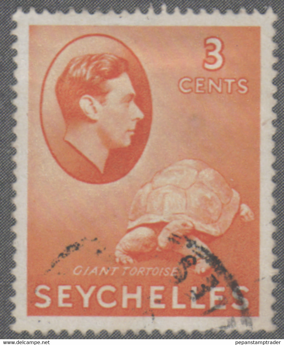 Seychelles - #127 - Used - Seychellen (1976-...)