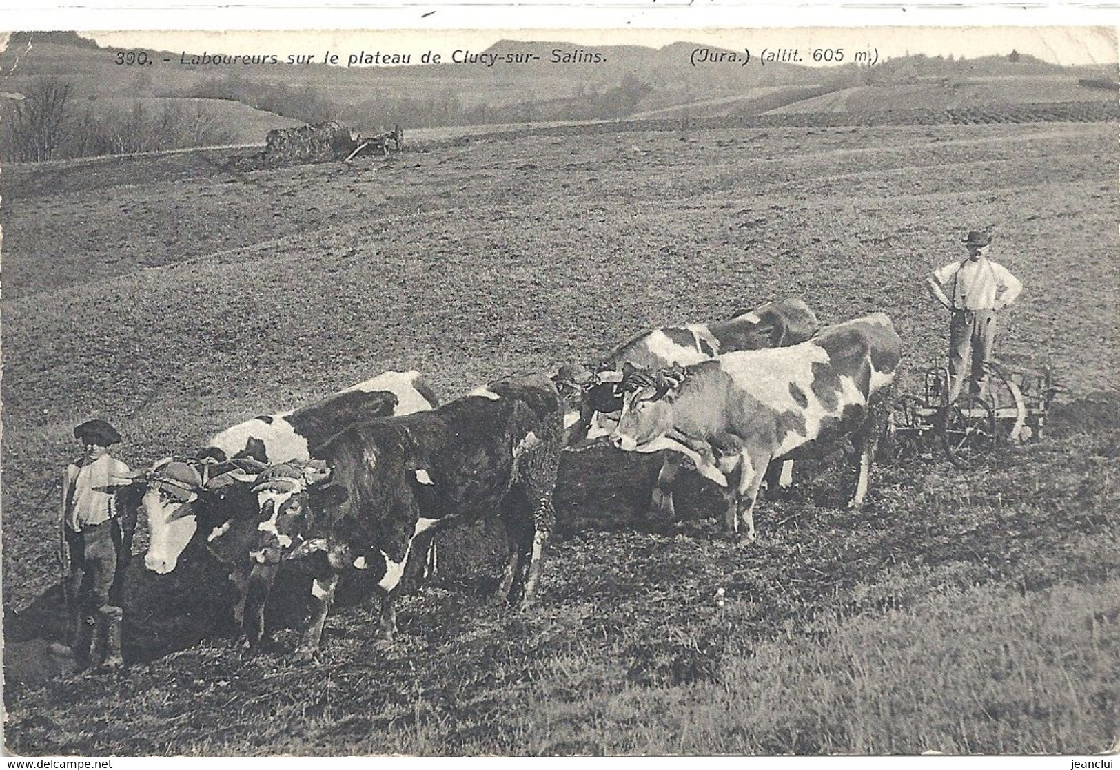 390. LABOUREURS SUR LE PLATEAU DE CLUCY-sur-SALINS . ( Alt. 605 M. ) Edt LIBRAIRIE DAVID-MAUVAS . CARTE NON ECRITE - Other & Unclassified