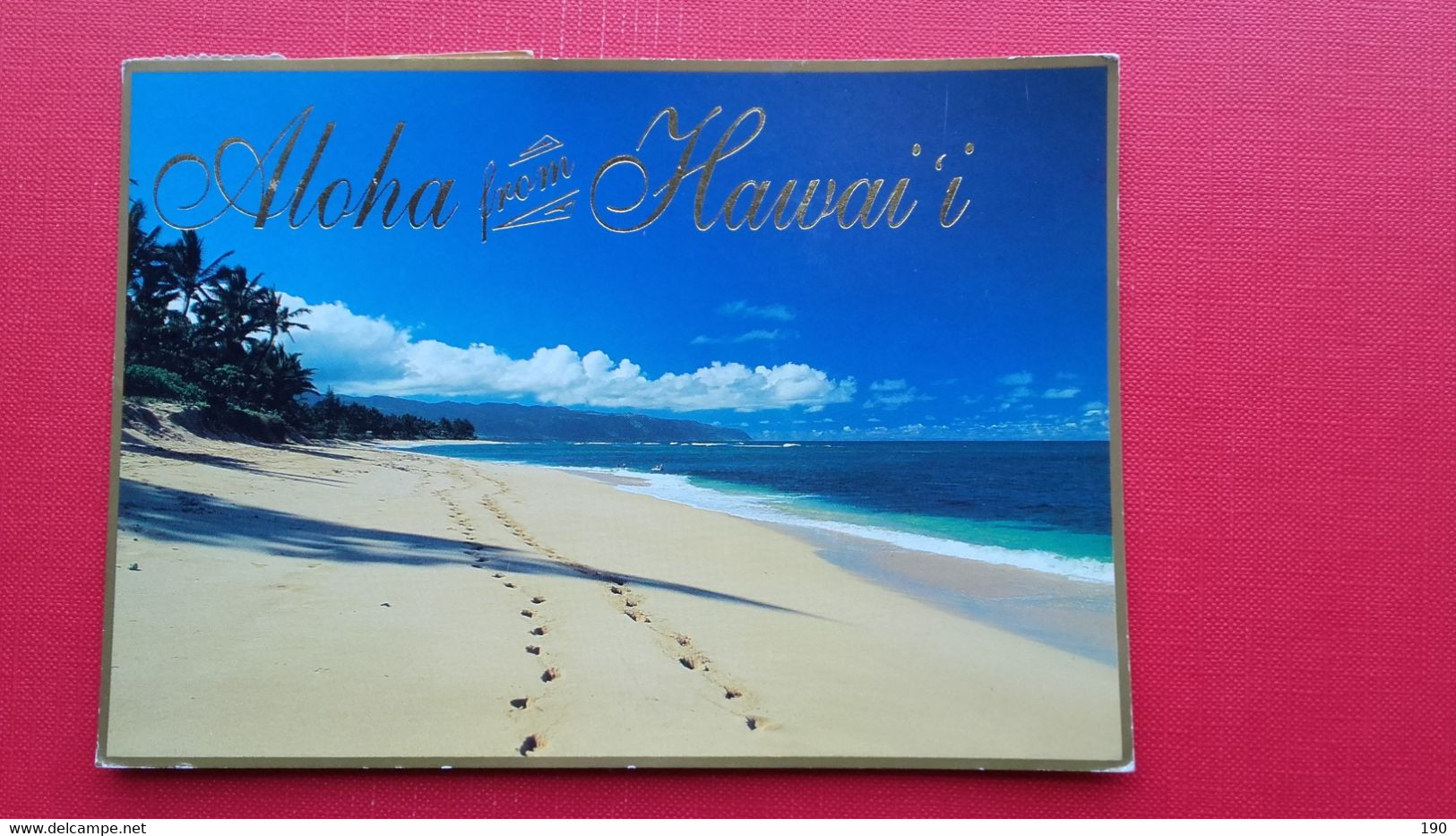 FOOTPRINTS IN THE SAND At Laniakea Beach - Oahu