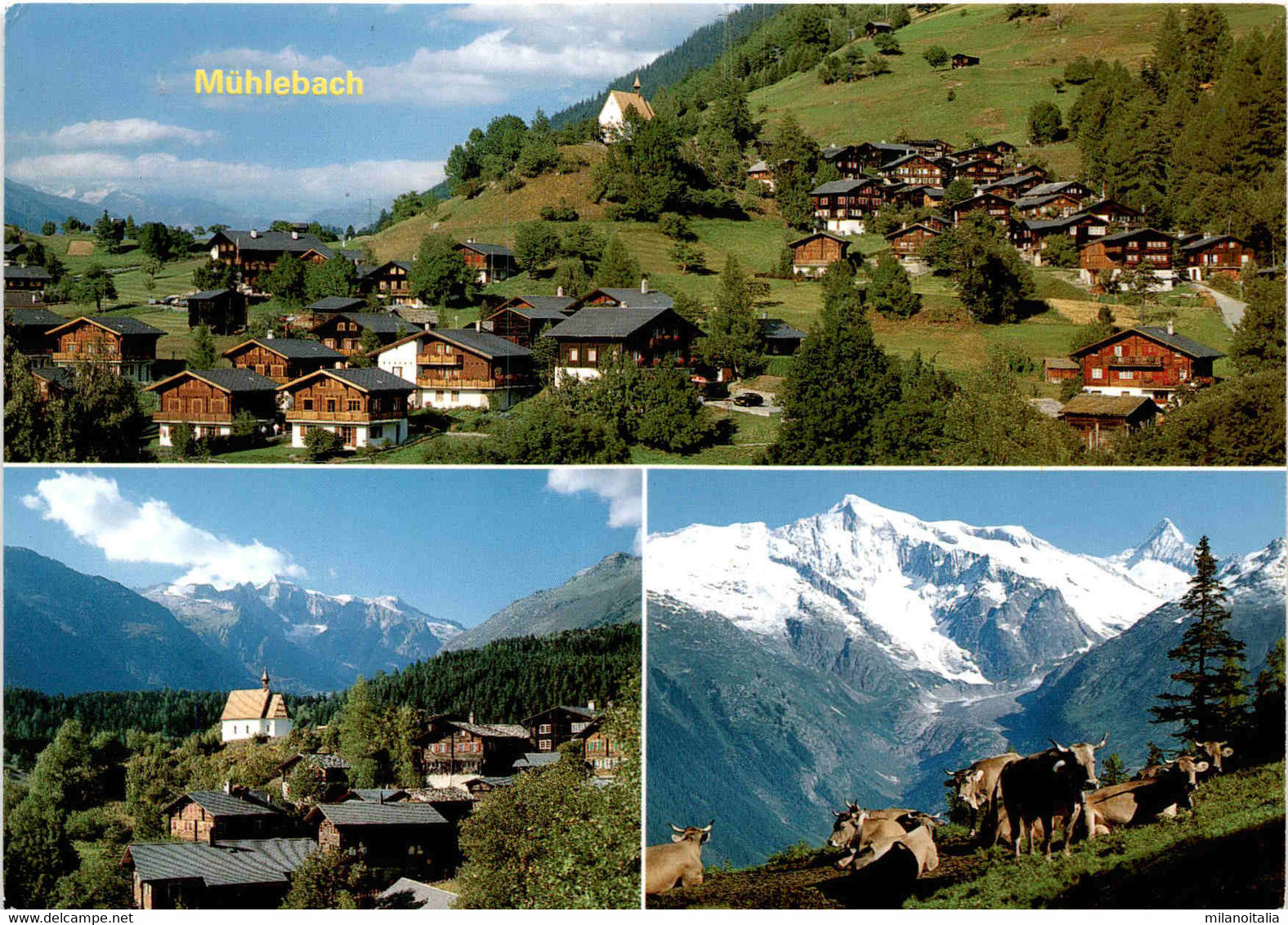 Mühlebach Bei Ernen, Wallis - 3 Bilder (43967) * 28. 7. 2003 - Ernen