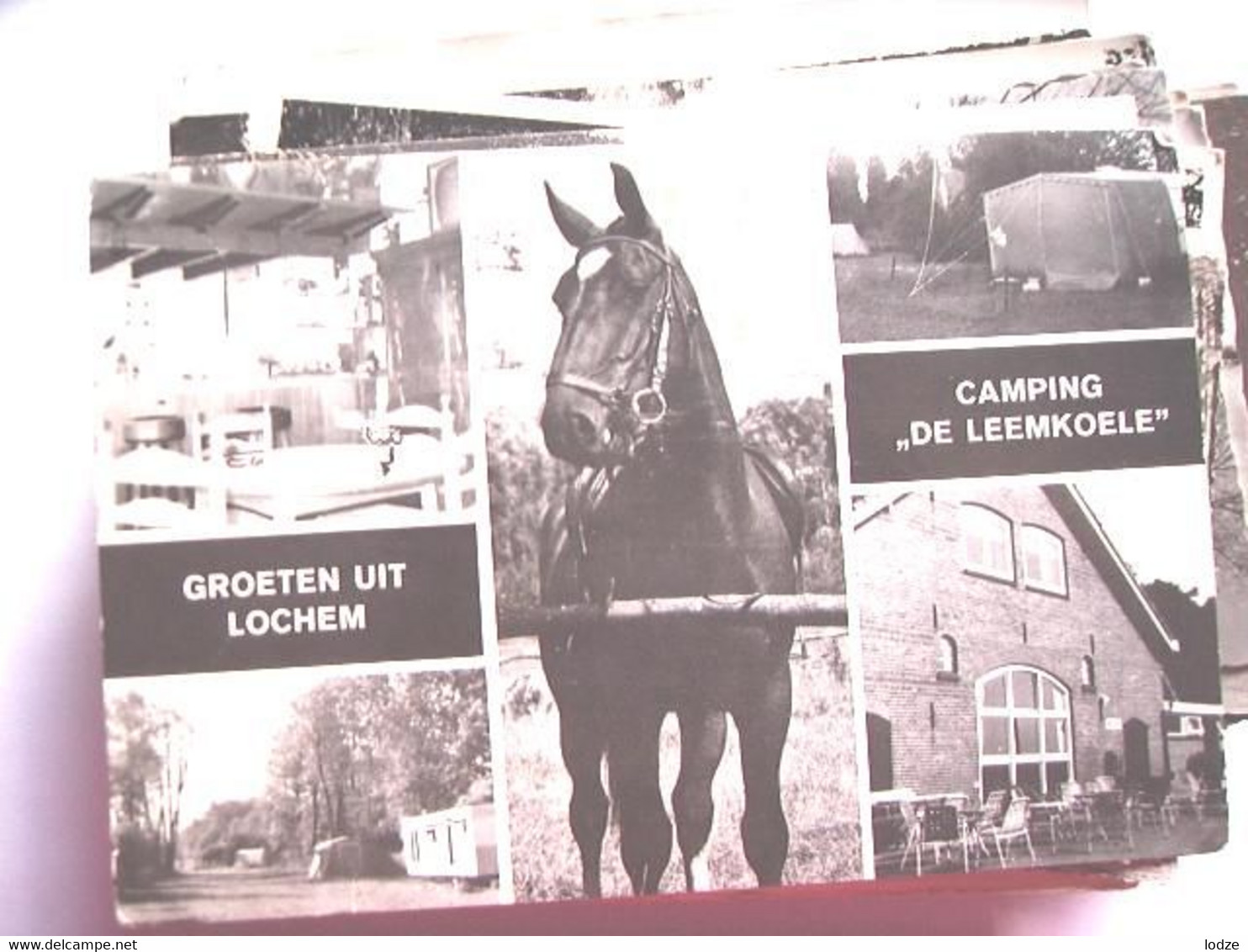 Nederland Holland Pays Bas Lochem Met Paard Bij Leemkoele - Lochem