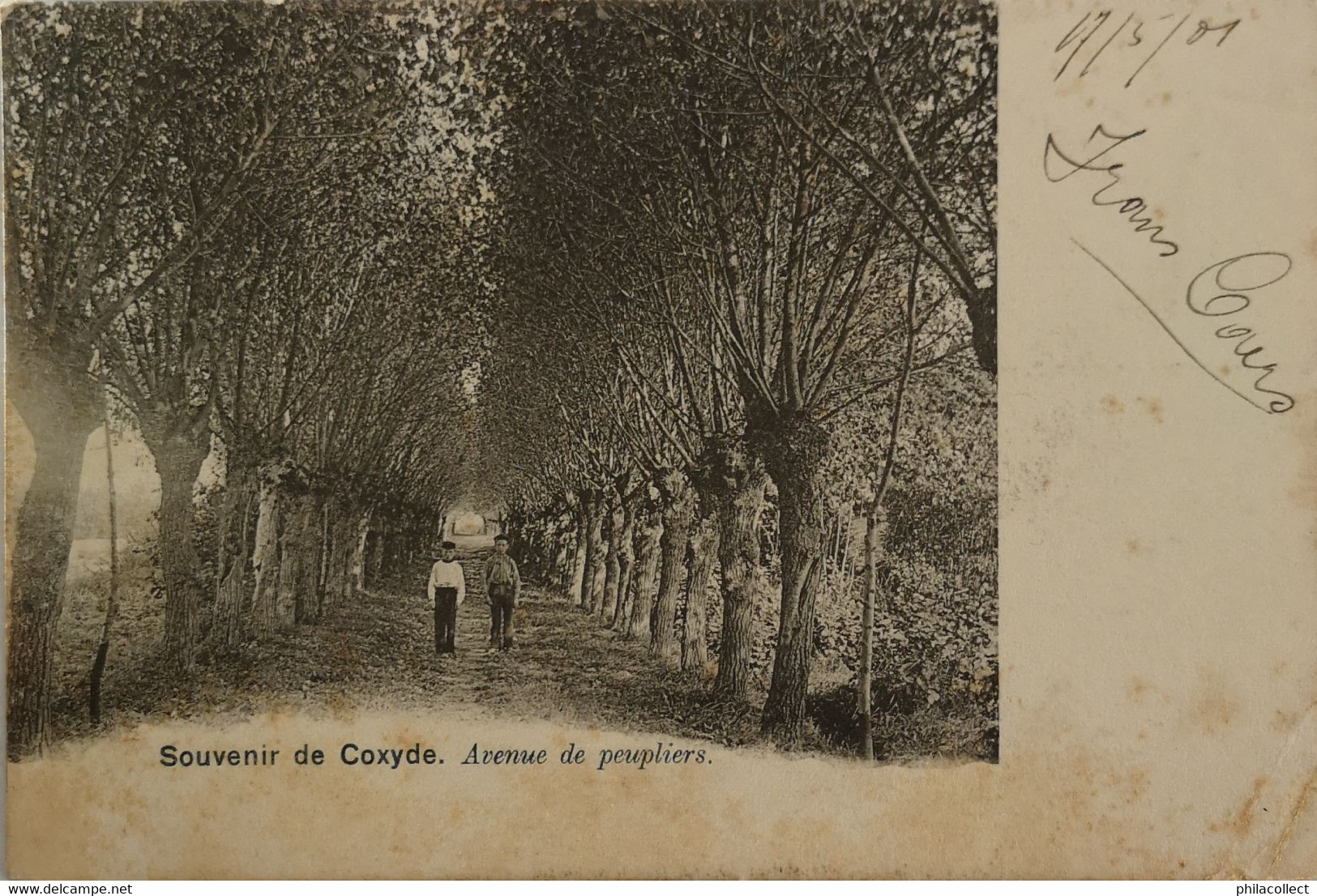 Koksijde - Coxyde Souvenir De // Avenue De Peupliers 1901 VLEKKEN - Koksijde