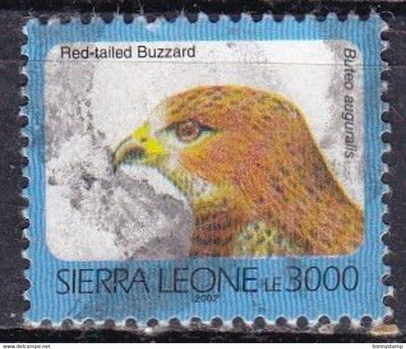 Sierra Leone, 1992/93 - 3000le Red-Tailed Buzzard - Nr.1546Bf Usato° - Sierra Leone (1961-...)
