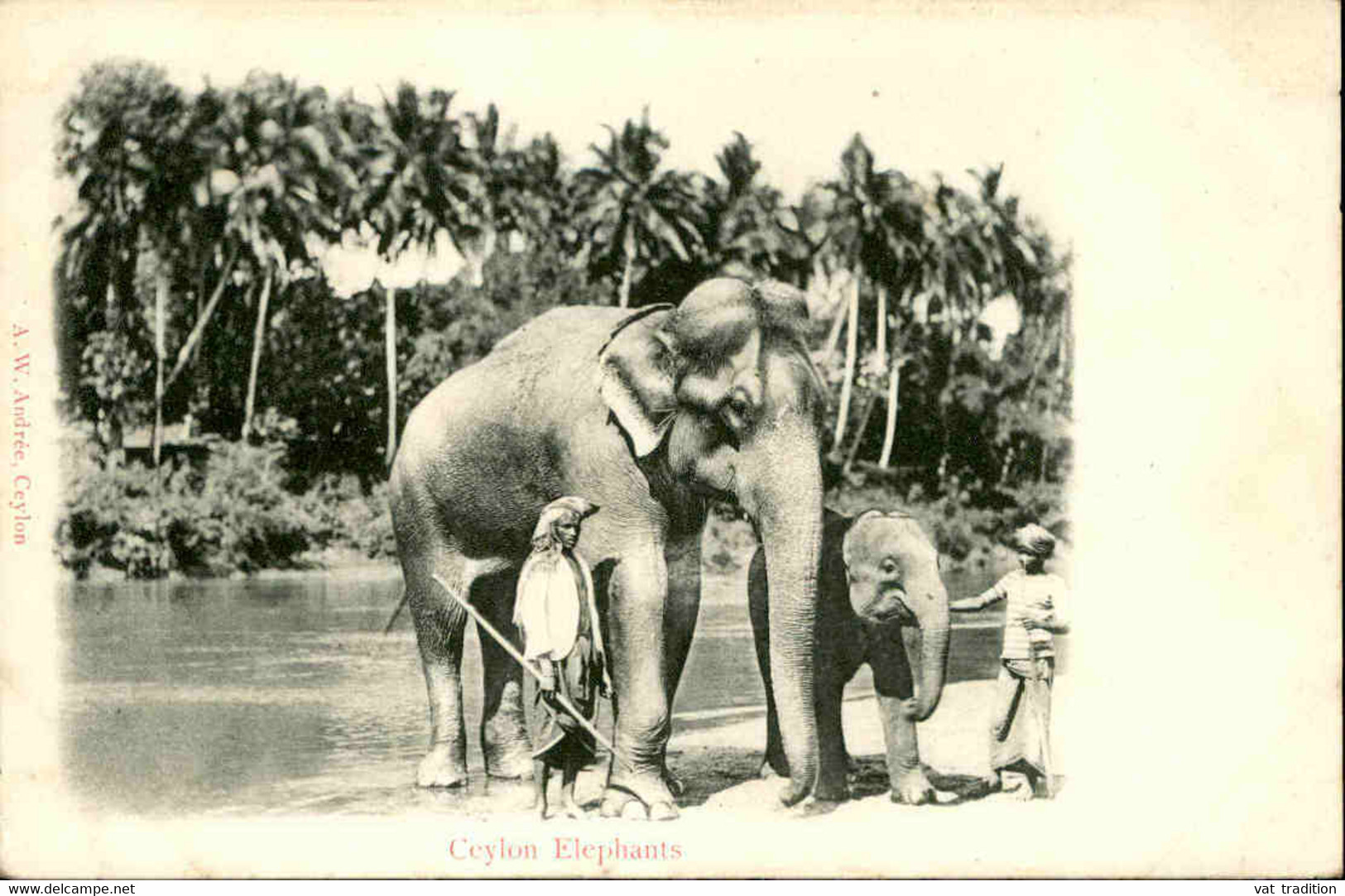 CEYLAN - Carte Postale - Éléphants De Ceylan - L 74825 - Sri Lanka (Ceylon)