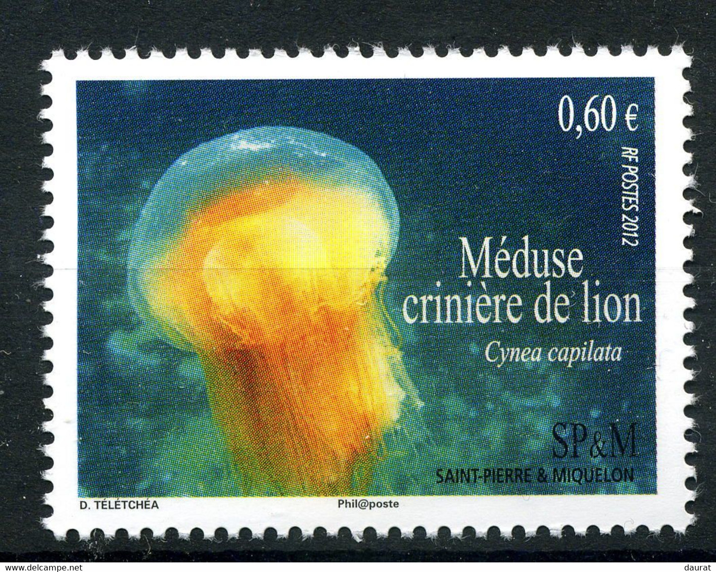 2012 Saint Pierre Et Miquelon Y&T N° 1035** Méduse Crinière De Lion - Altri & Non Classificati