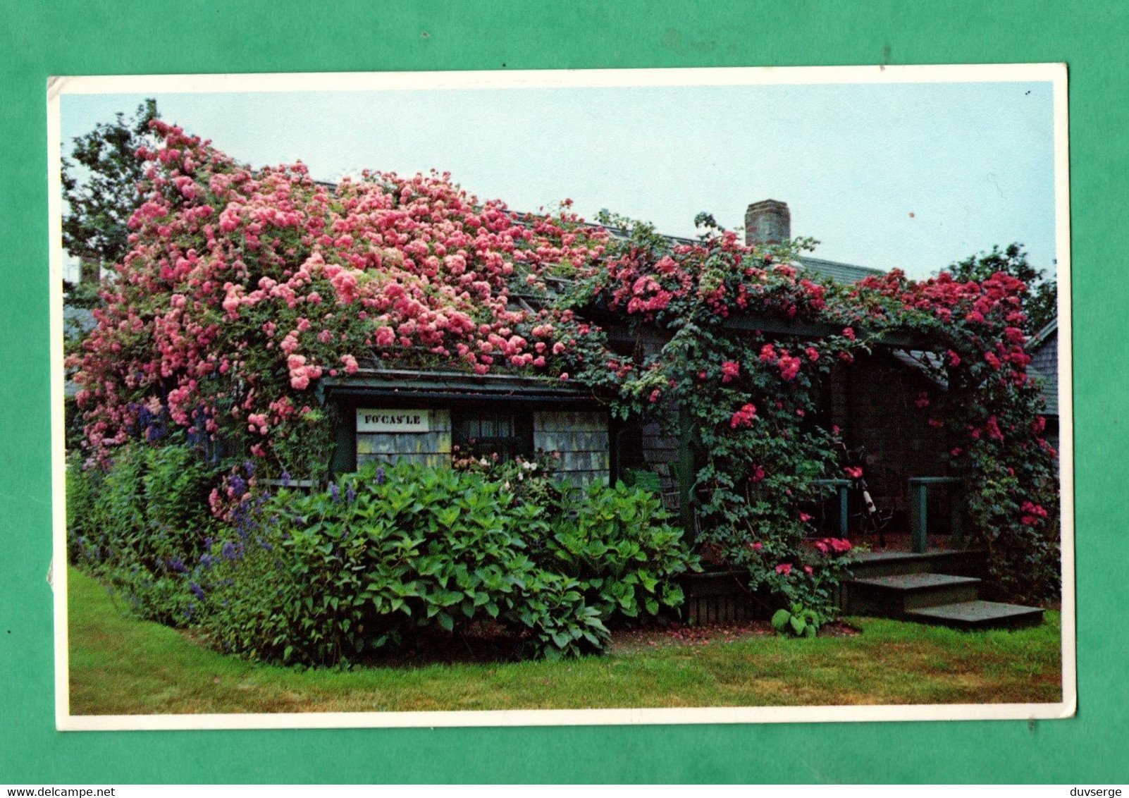 United States MA Massachusets Natucket Islands Rose Covered Cottage   ( Format 9cm X 14cm ) - Nantucket
