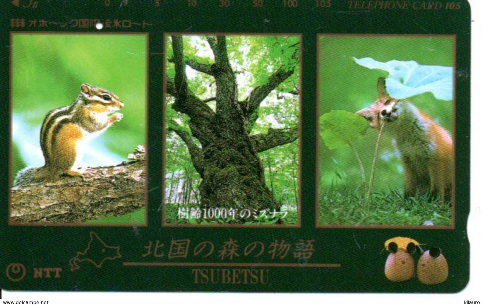 Renard  Fox   écureuil Hibou Télécarte Phonecard Japon Animal (D 760) - Japan