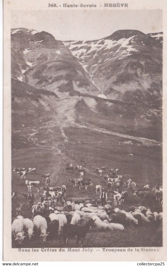 360 - Haute-Savoie - Megève - Sous Les Crêtes Du Mont Joly - Troupeau De La Stassaz ( Mouton Chèvre Vache ) - Megève