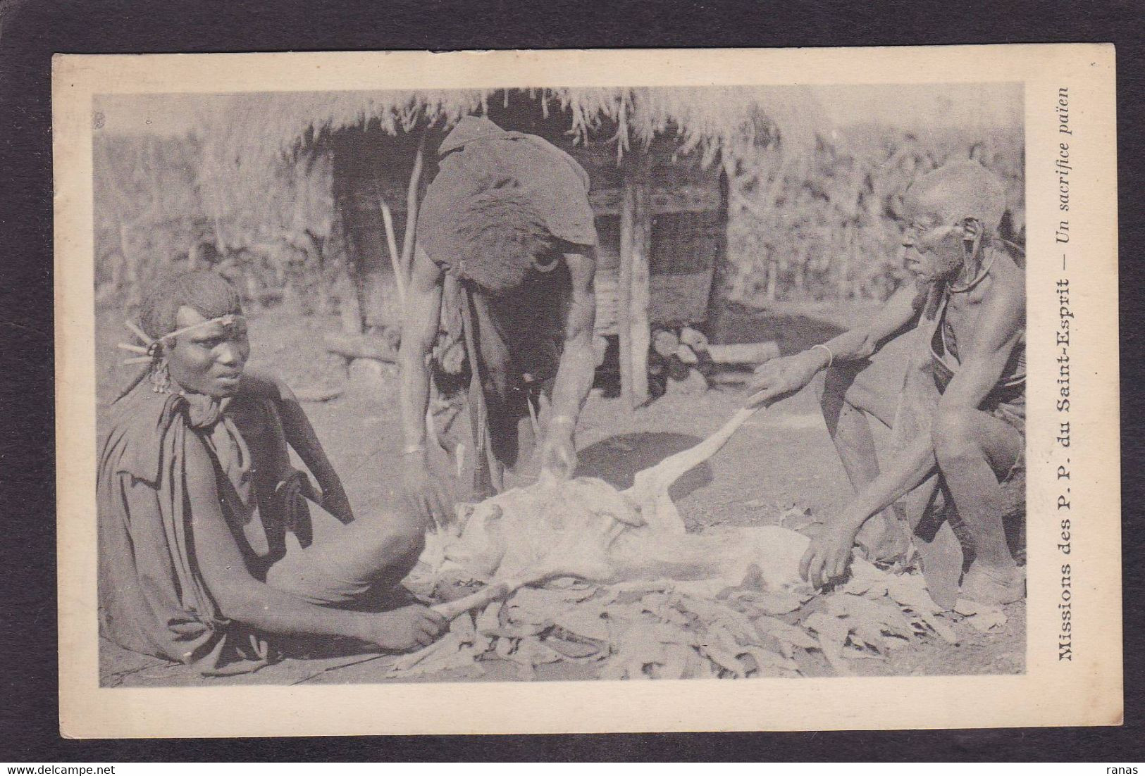 CPA Kenya Types Ethnic Sacrifice Païen Non Circulé - Kenia