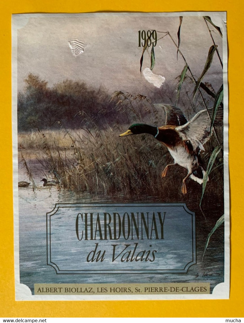 16518 - Chardonnay Du Valais Albert Biollaz St-Pierre De Clages Canard - Jagd
