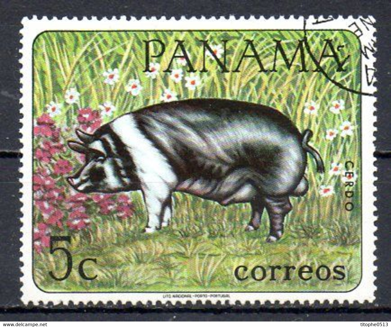 PANAMA. N°451 Oblitéré De 1967. Cochon. - Farm