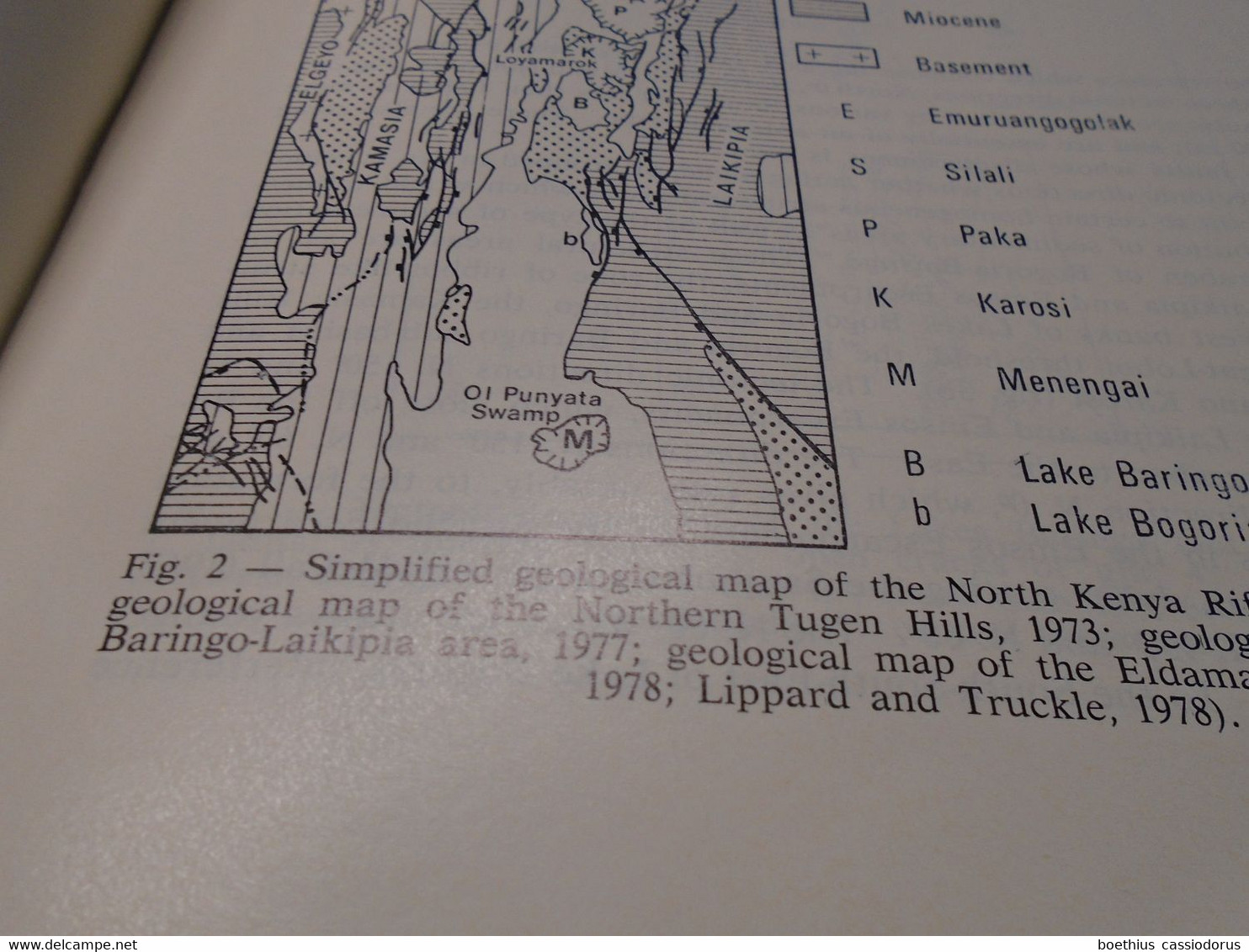 GEODYNAMIC EVOLUTION OF THE AFRO-ARABIAN RIFT SYSTEM 1980 - Geowissenschaften