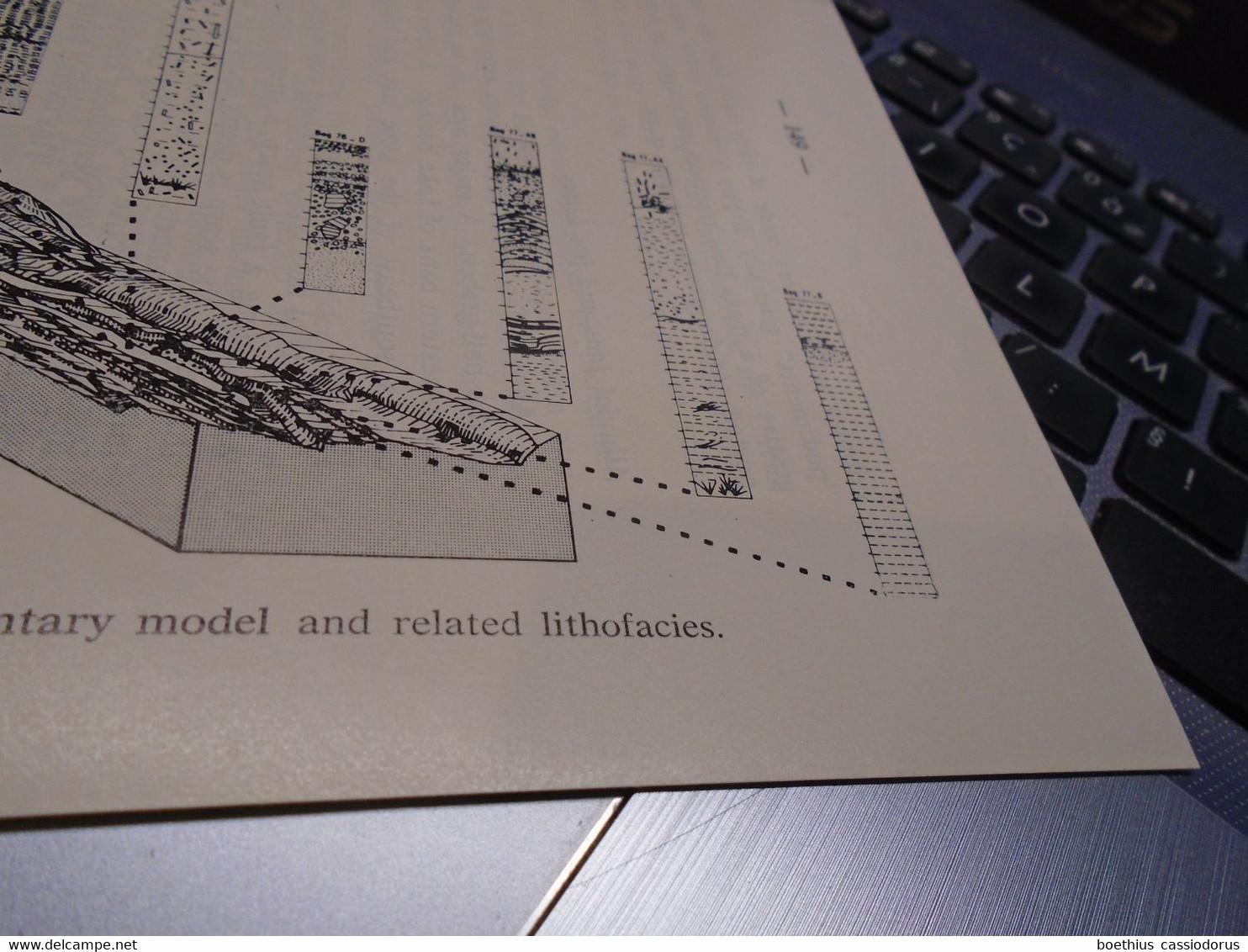 GEODYNAMIC EVOLUTION OF THE AFRO-ARABIAN RIFT SYSTEM 1980 - Aardwetenschappen