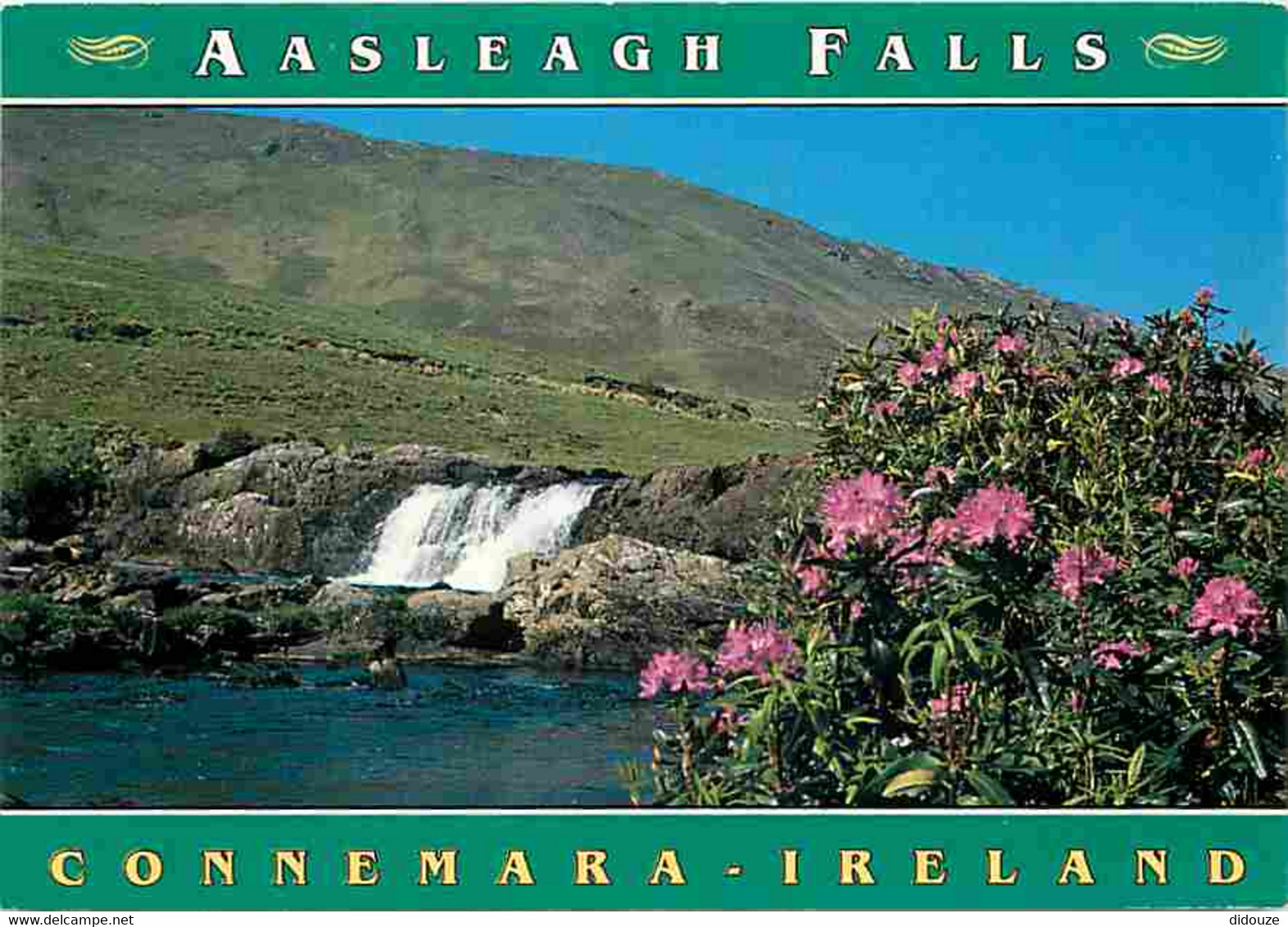 Irlande - Mayo - Aasleagh Falls - Connemara - Cascades - CPM - Voir Scans Recto-Verso - Mayo