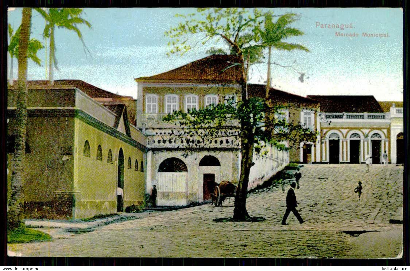 PARANÁ - PARANAGUÁ - FEIRAS E MERCADOS - Mercado Municipal. ( Ed. Cezar Schulz Nº 123) Carte Postale - Curitiba