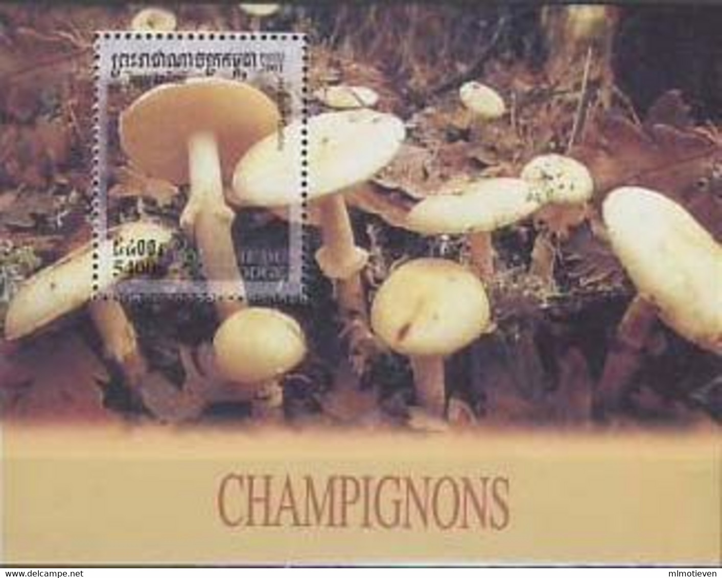 MPP-BK1-023 MINT ¤ CAMBODGE 2001 BLOCK ¤ PADDESTOELEN - MUSHROOMS - SETAS - PILZE - FUNGHI - CHAMPIGNONS - - Funghi