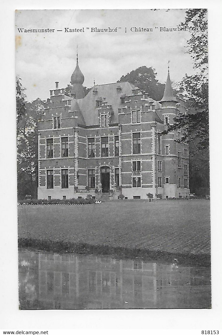 Waesmunster - Kasteel "Blauwhof"  /  Château "Blauwhof" 1913 - Waasmunster