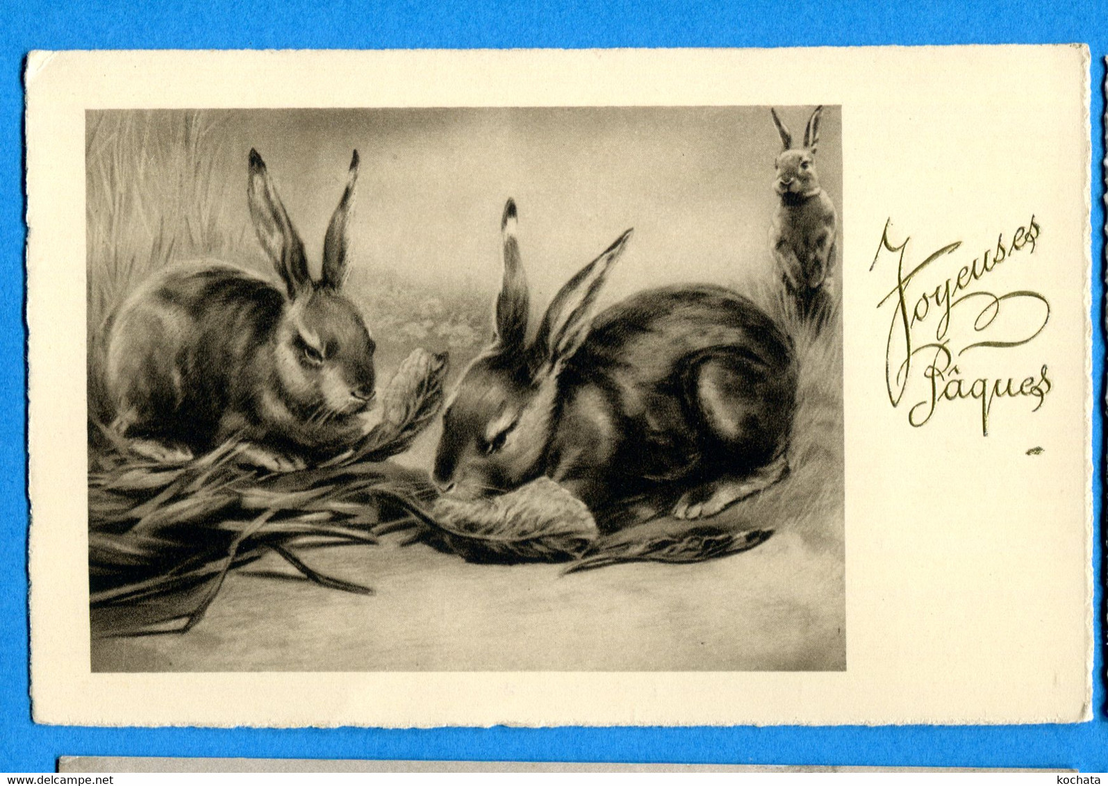 COVR1393, Lapin, Hase, Rabbit, Non Circulée - Ostern